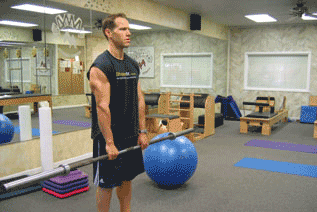 杠铃耸肩 - 健网