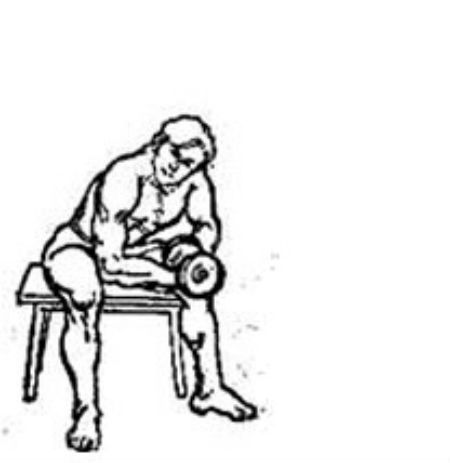 肱二头肌锻炼方法图解