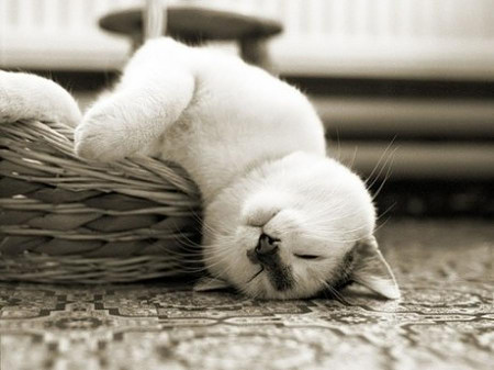 每天都觉得很累很困是什么原因 - 健网