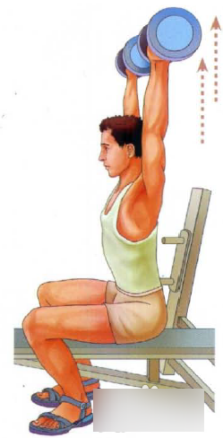 哑铃练肩膀秘籍 打造宽阔双肩 - 健网