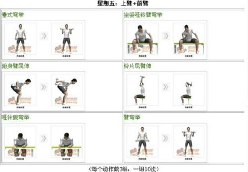 初中级哑铃健身计划图解