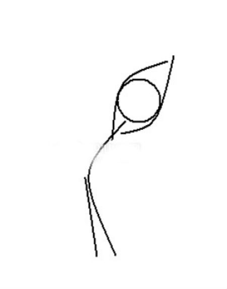 怎么瘦后背最有效 - 健网