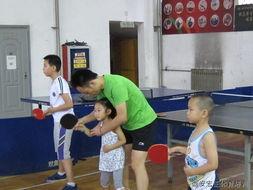 寒假乒乓球培训班开始报名招生-东莞康之杰体美式橄榄球球场图片