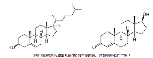 睾丸酮2