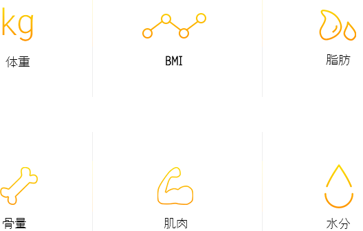 测量6项身体数据，全面测量健康
